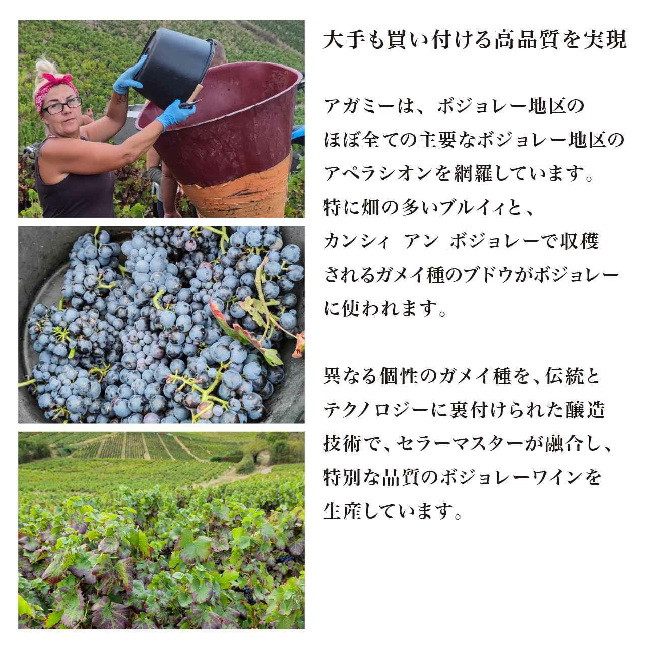000000000057-05.jpg?size=l&w=