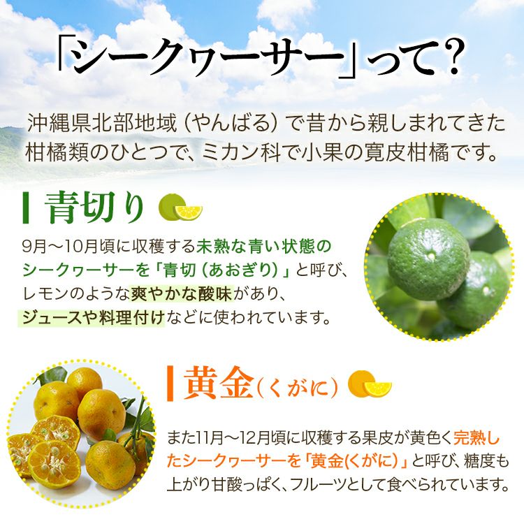青切シークワーサージュースセット（常温） | ネットdeグランマルシェ
