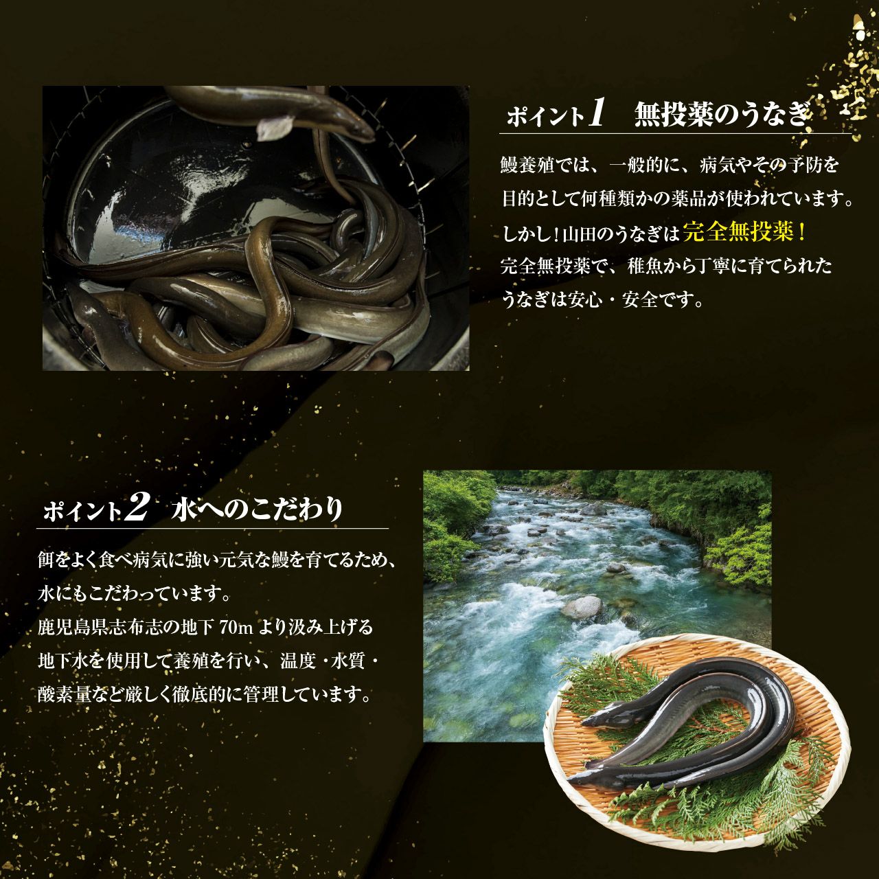 鹿児島県産 「山田のうなぎ」130g 2尾（ご自宅用） | ネットdeグラン