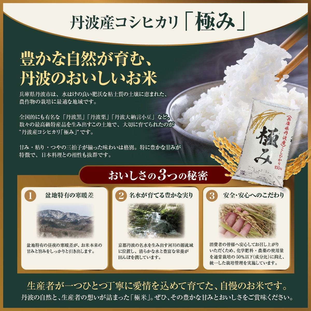 令和7年(2025年度)産】丹波産コシヒカリ 「極米」 10kg（1袋）極米について