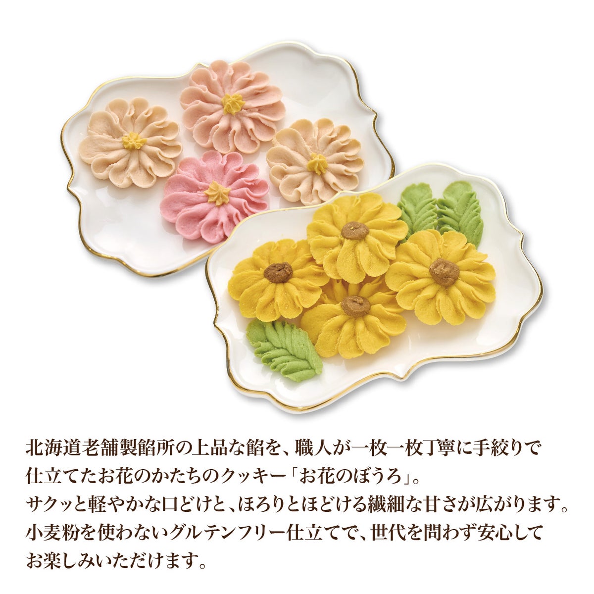 お花のぼうろ 夏のご挨拶セット【コスモス・ヒマワリ】商品説明