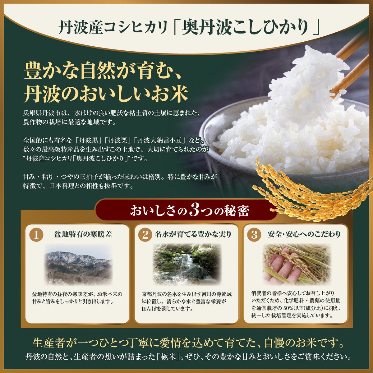 令和7年(2025年度)産】丹波産コシヒカリ 「極米」 2kg 極米について