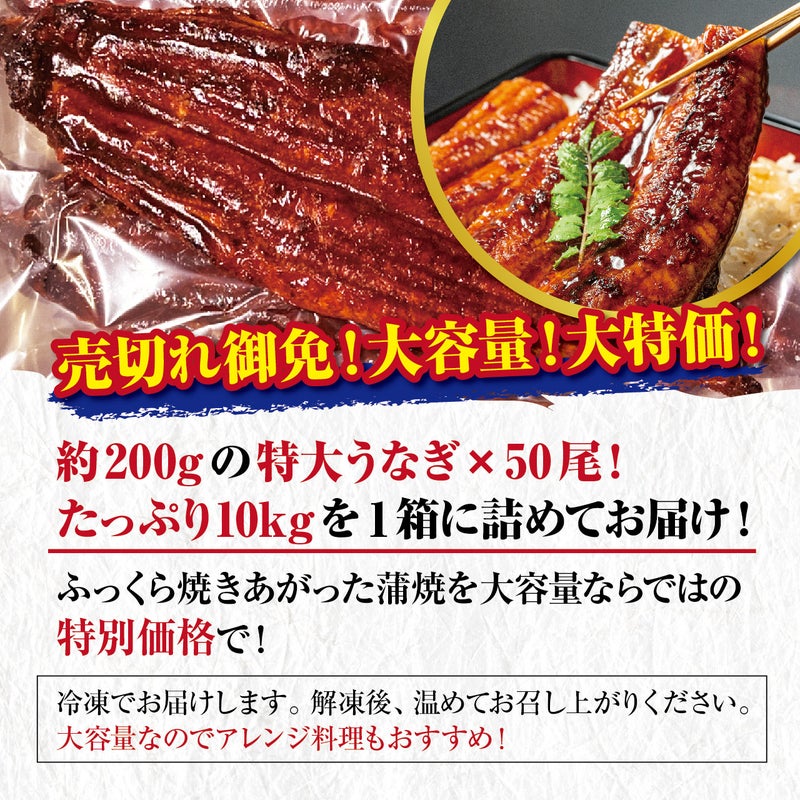 本場清水水産　中国産有頭うなぎ　50尾（10kg）商品説明